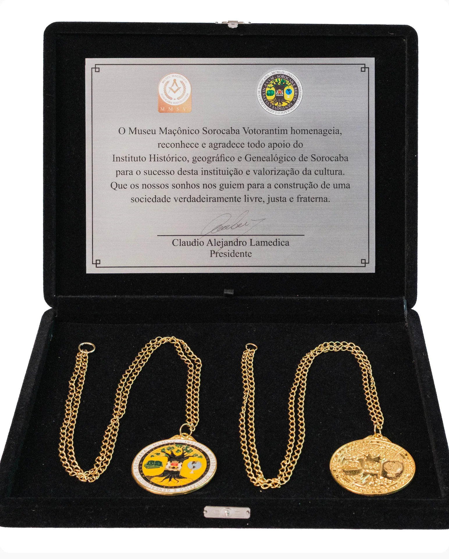 Medalha Cultural Aluísio de Almeida — Objeto / Físico — acervo do IHGGS