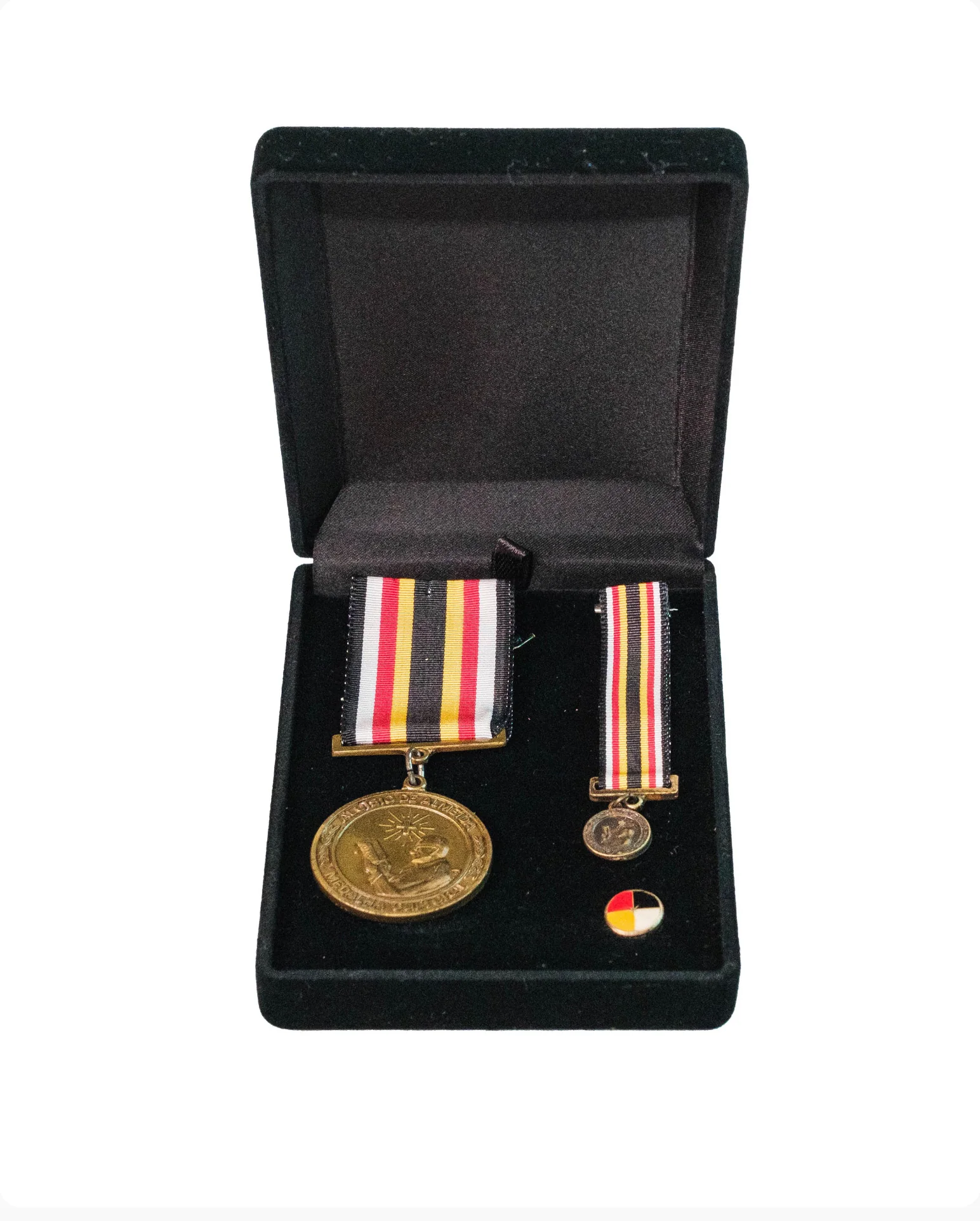 Medalha Cultural Aluísio de Almeida — Objeto / Físico — acervo do IHGGS