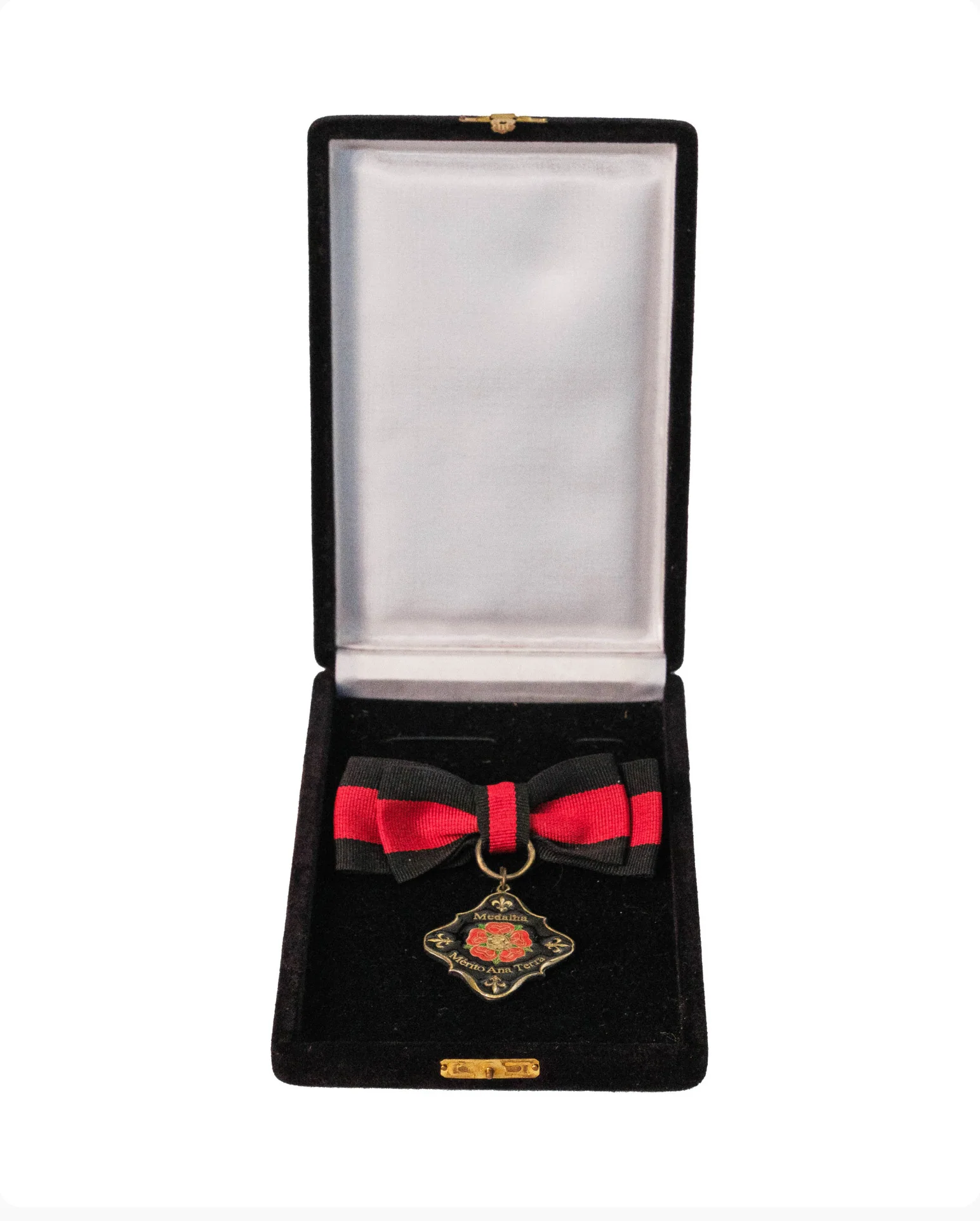 Medalha Ana Terra — Objeto / Físico — acervo do IHGGS