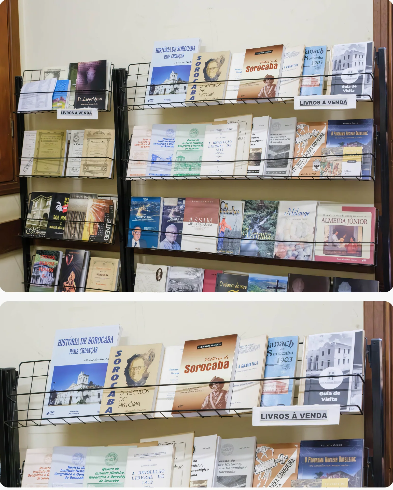 Livros de associados — Livros — acervo do IHGGS