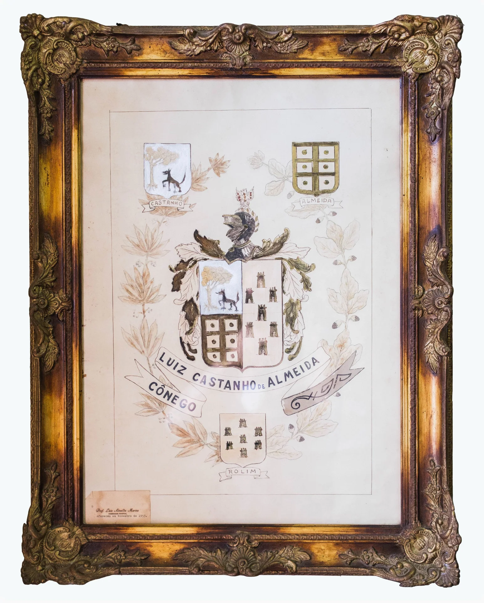 Quadro Brasão — Objeto / Físico — acervo do IHGGS